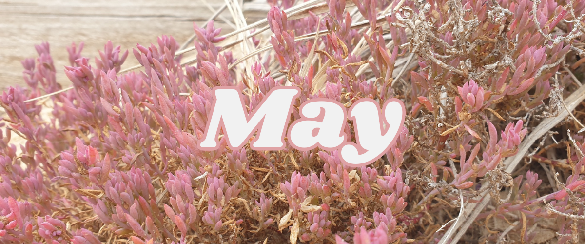 May month banner