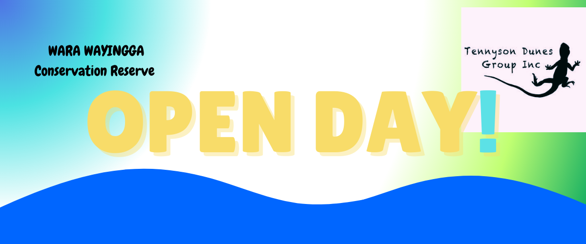 Open Day