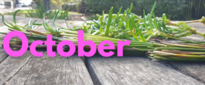 October banner with collected sedges and herbs.